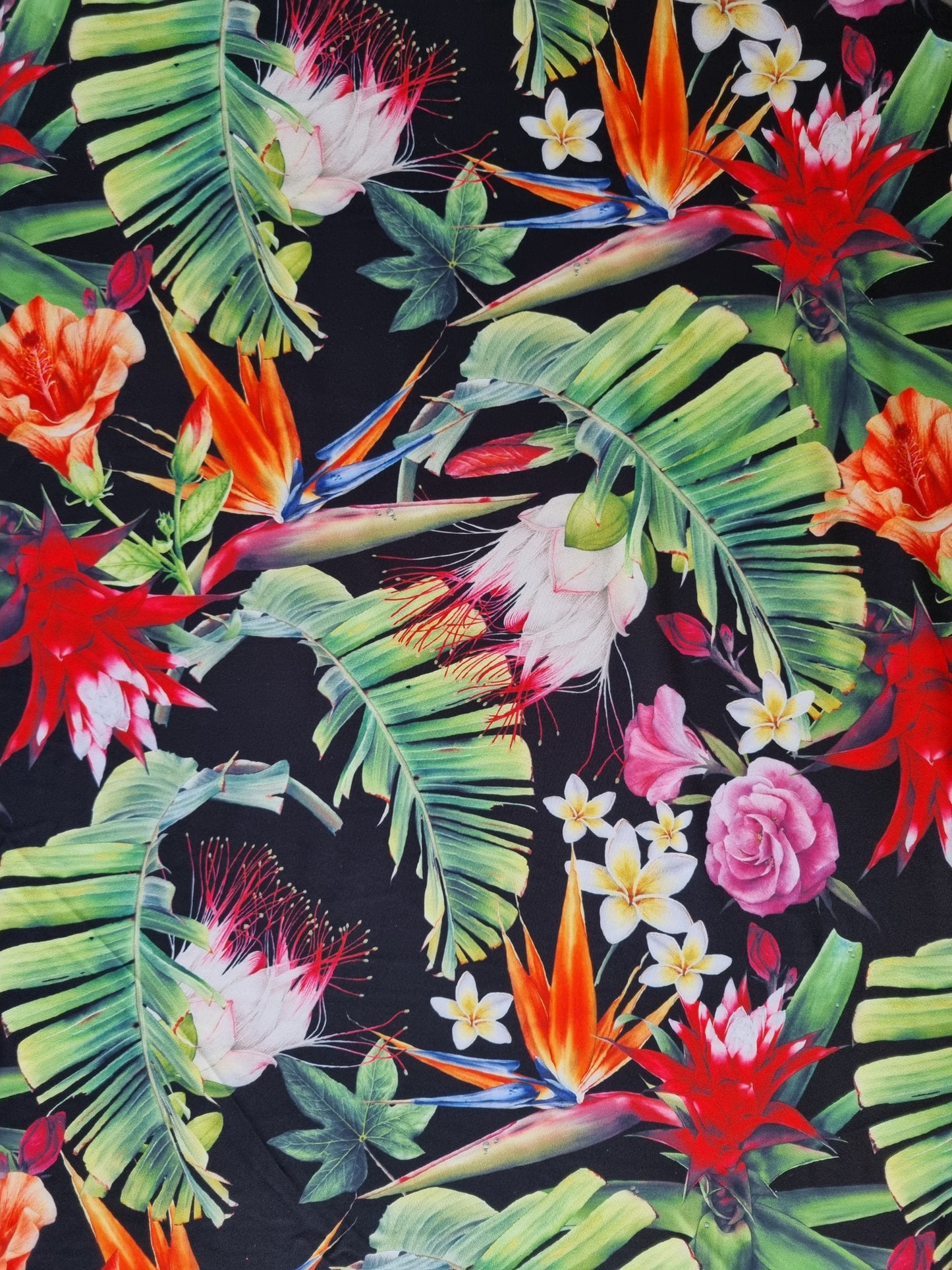 Zwem (en lingerie) lycra: Zwart met tropische planten