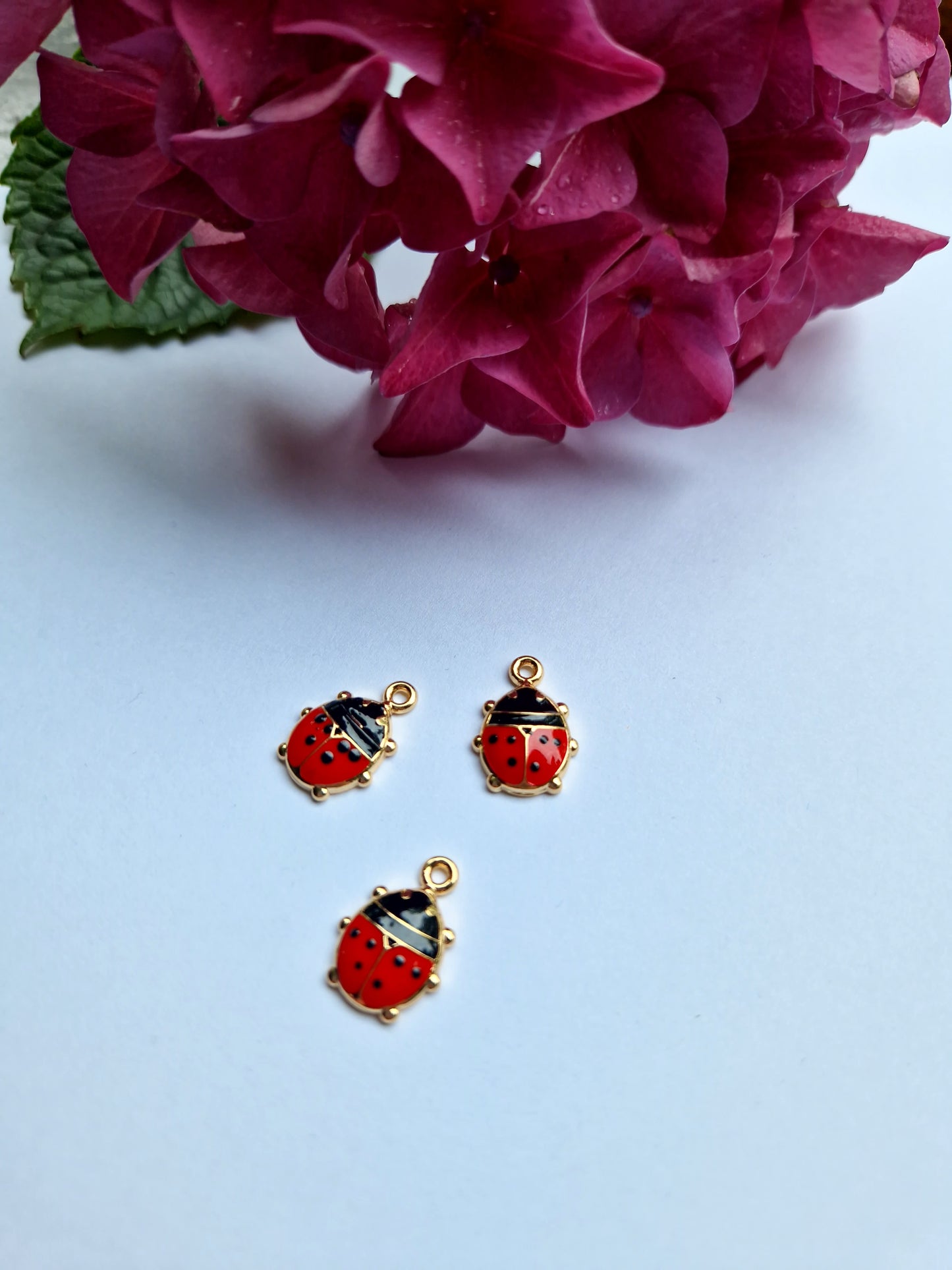Goudkleurig bedeltje van lieveheersbeestje met emaille ingelegd in zwart en rood