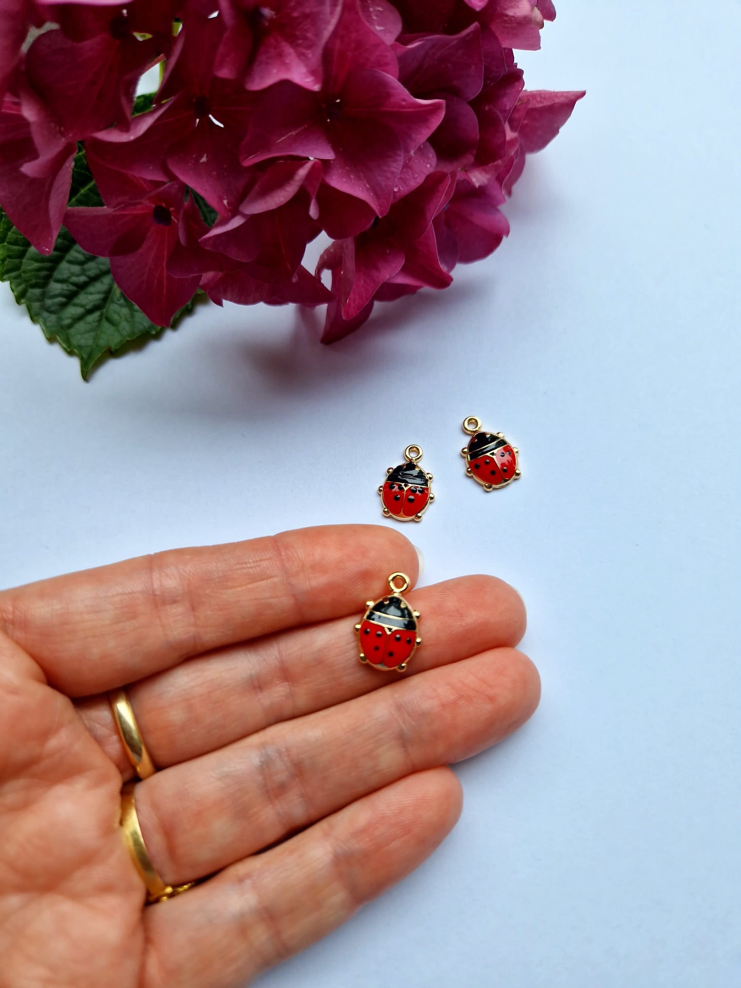 Goudkleurig bedeltje van lieveheersbeestje met emaille ingelegd in zwart en rood