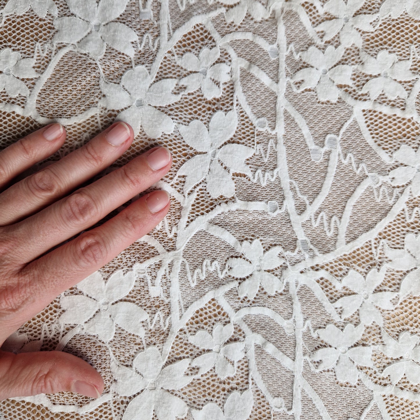 offwhite stretchkant met fluwelen bloemen